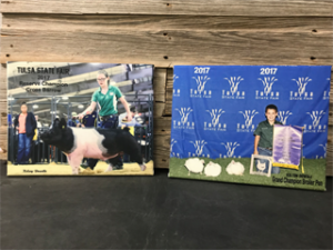 Two livestock show award posters with pigs